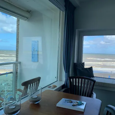 Happy Zandvoort